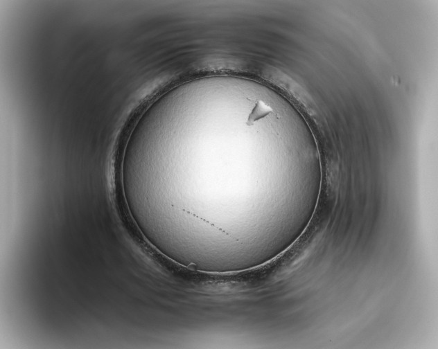 X0000093430629200710261020