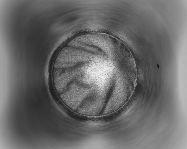 X0000093430630200710261020