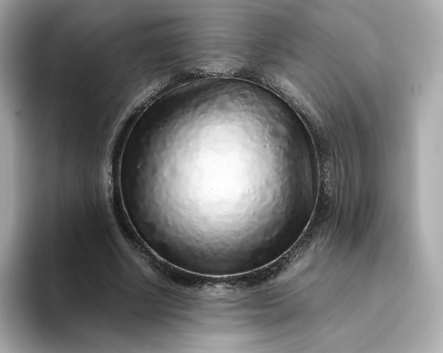 X0000093430634200710261020