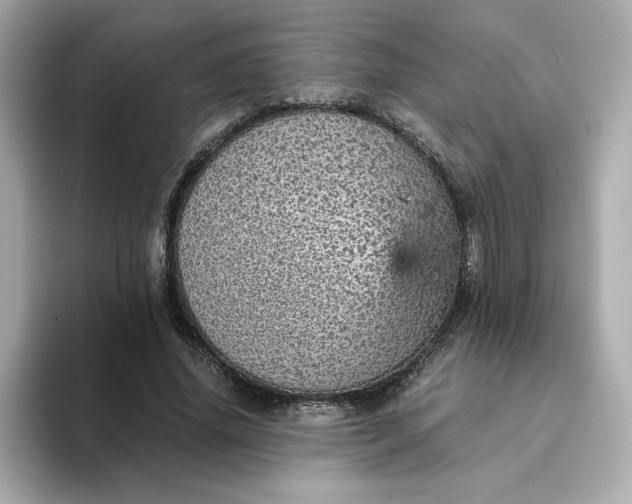 X0000093430636200710261020