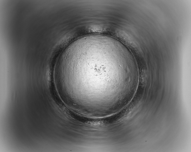 X0000093430639200710261020