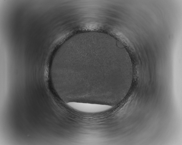 X0000093430640200710261020