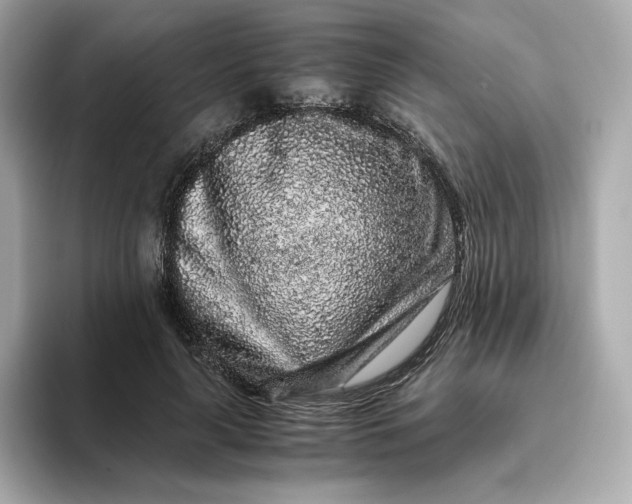 X0000093430643200710261020