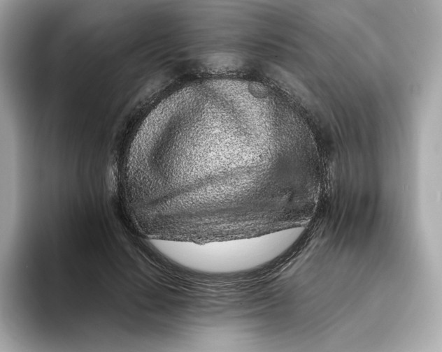 X0000093430644200710261020