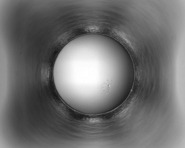 X0000093430645200710261020