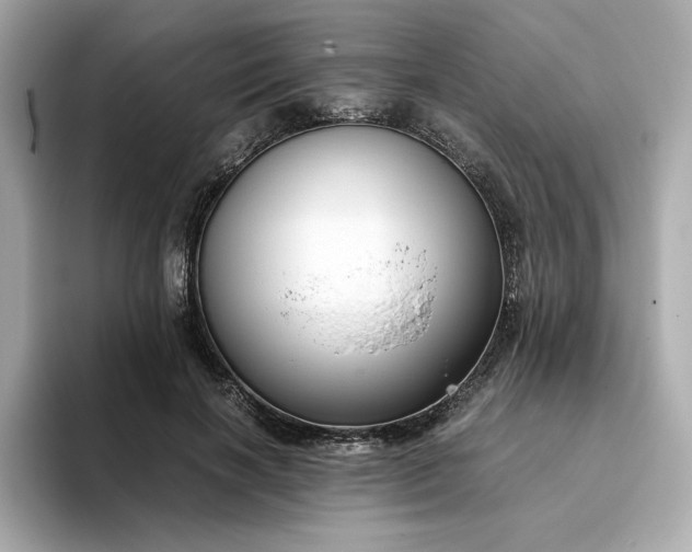 X0000093430646200710261020