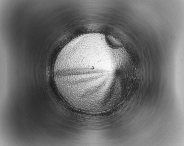 X0000093430648200710261020