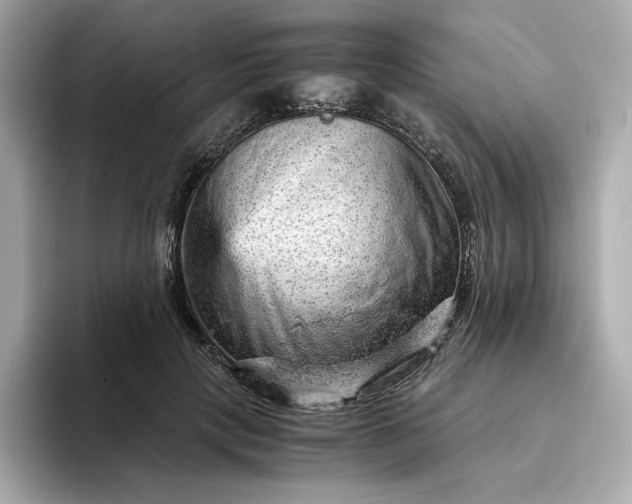 X0000093430649200710261020