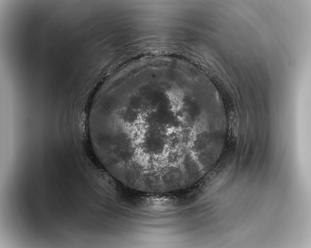 X0000093430650200710261020