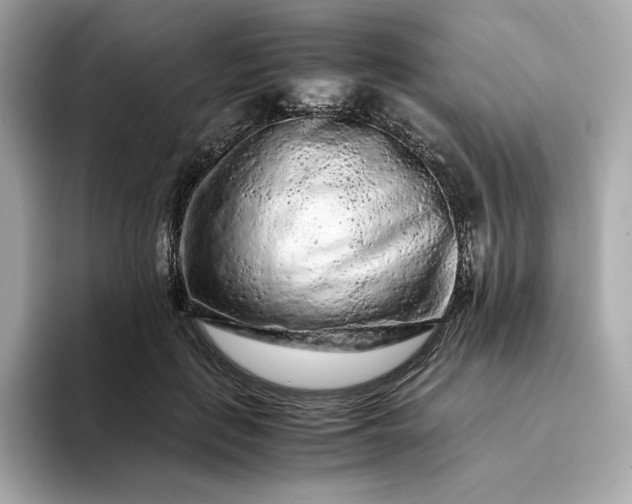 X0000093430651200710261020