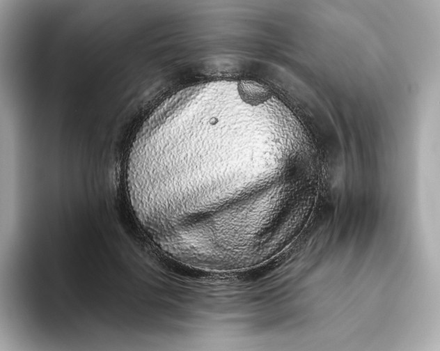 X0000093430652200710261020