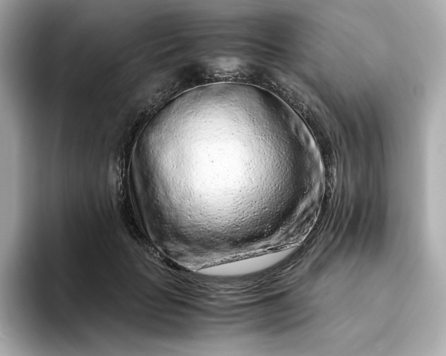 X0000093430653200710261020