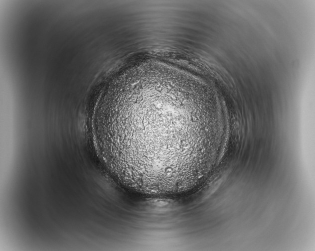 X0000093430654200710261020