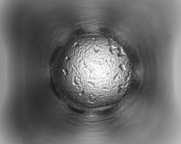 X0000093430658200710261020