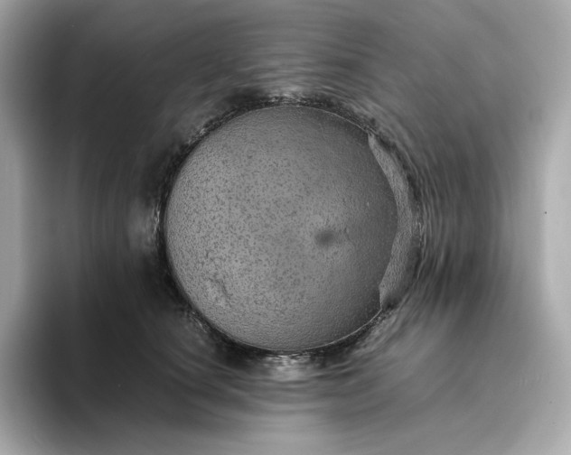 X0000093430660200710261020