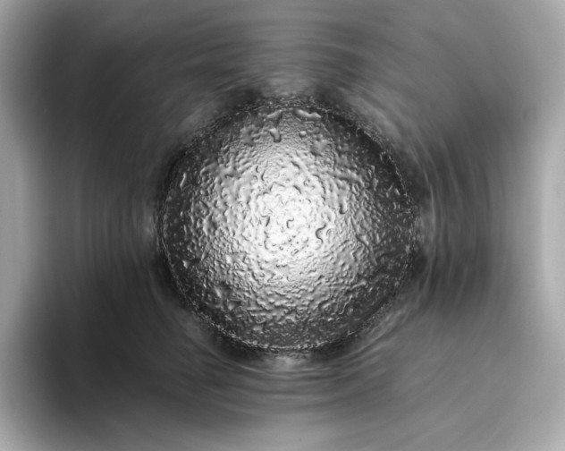 X0000093430662200710261020