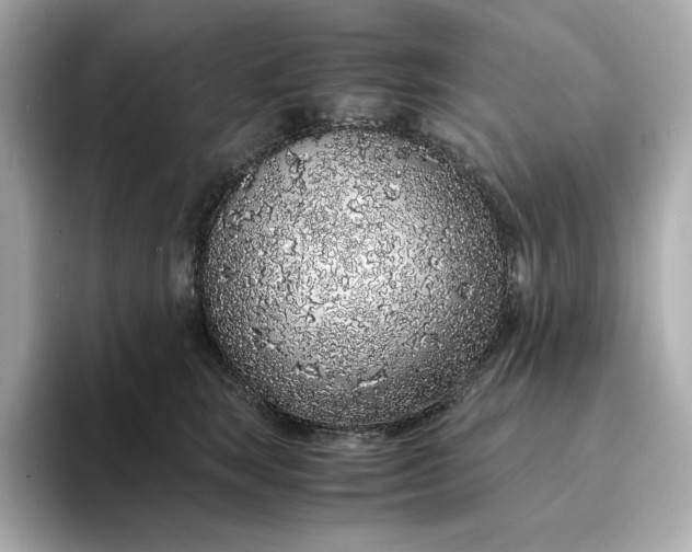 X0000093430663200710261020