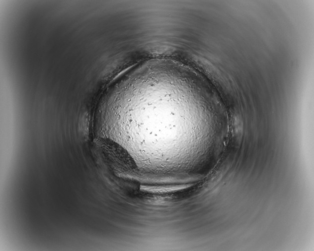 X0000093430664200710261020