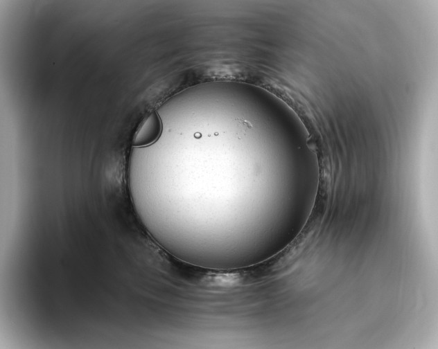 X0000093430665200710261020