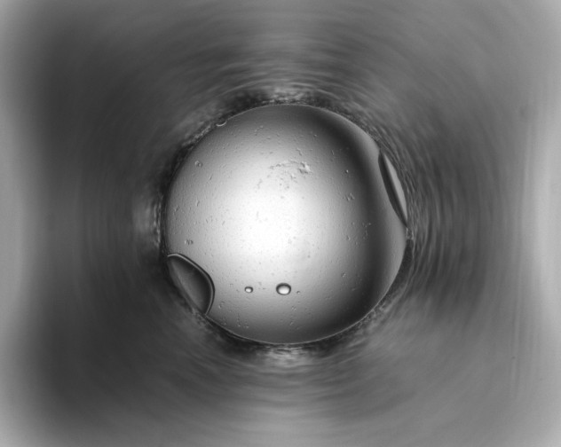 X0000093430666200710261020