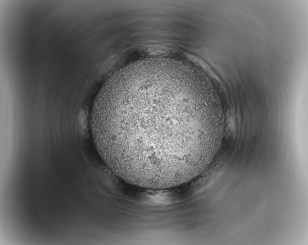 X0000093430667200710261020