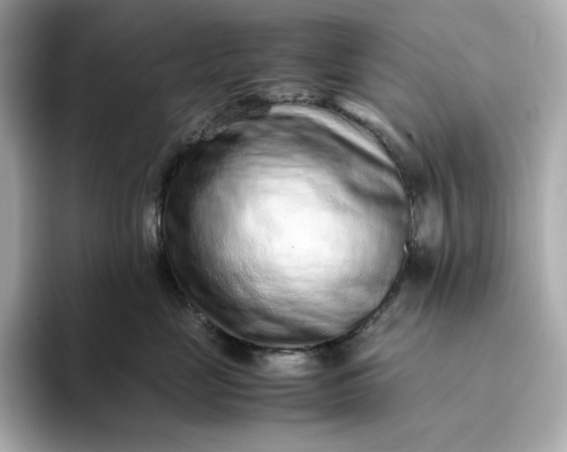 X0000093430669200710261021