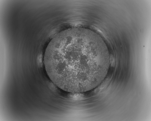 X0000093430670200710261021