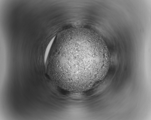 X0000093430671200710261021