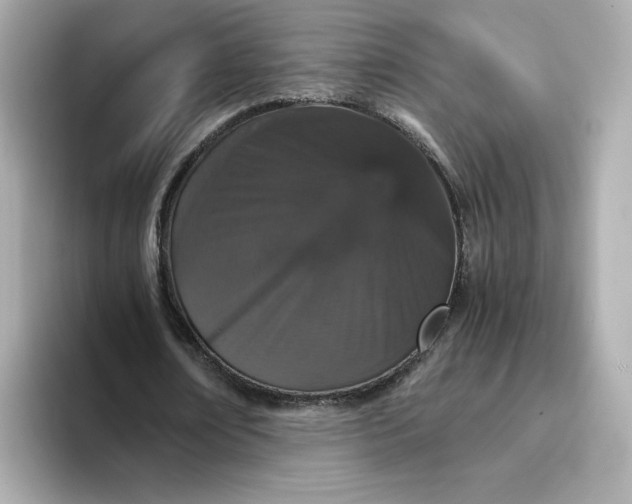 X0000093430674200710261020