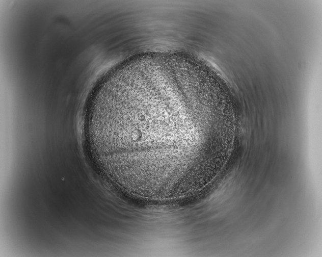 X0000093430679200710261020