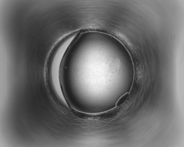 X0000093430680200710261020