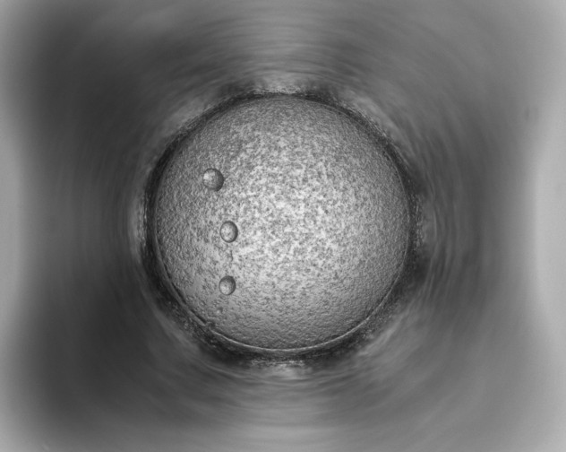 X0000093430683200710261020