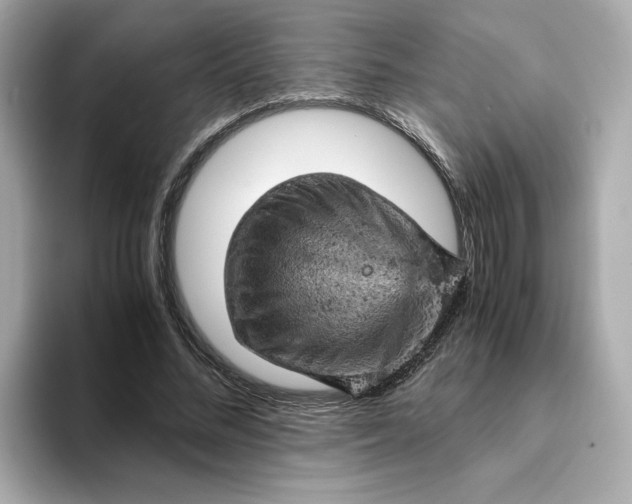 X0000093430684200710261020