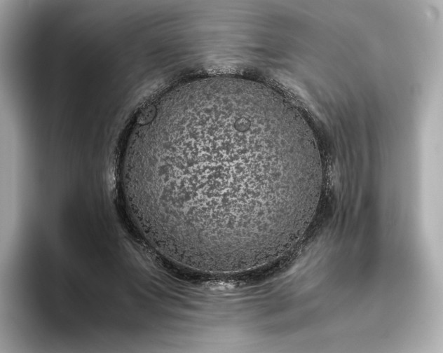 X0000093430687200710261020