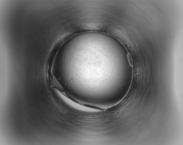 X0000093430688200710261020