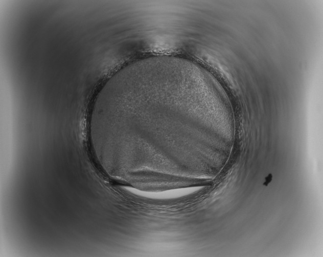 X0000093430689200710261020