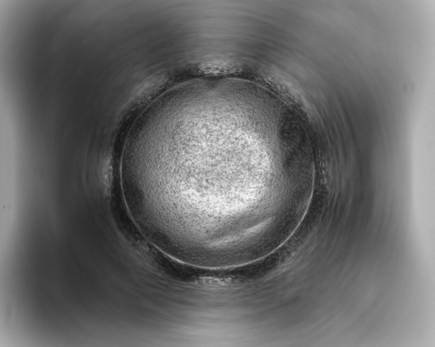 X0000093430690200710261020