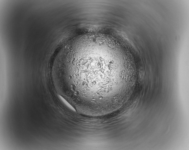 X0000093430691200710261020