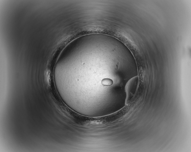 X0000093430692200710261020