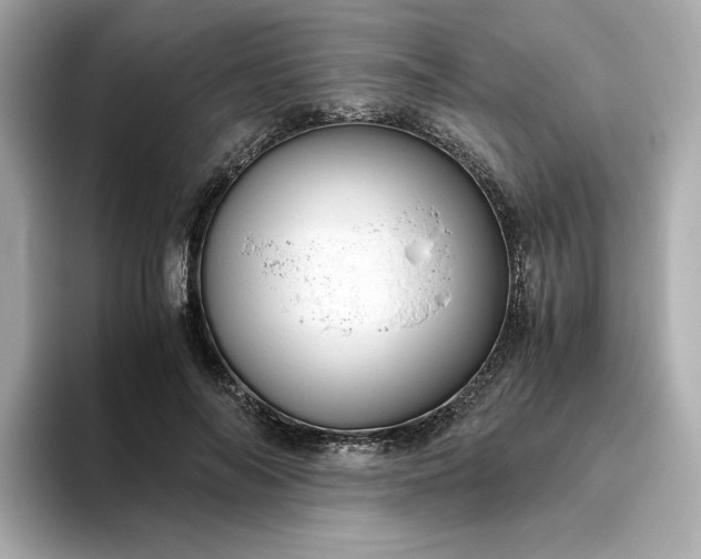 X0000093430694200710261020