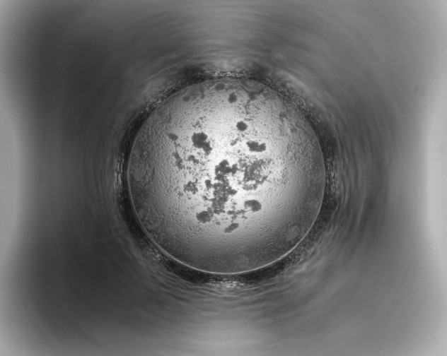 X0000093430695200710261020