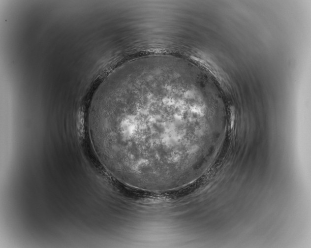 X0000093430696200710261020