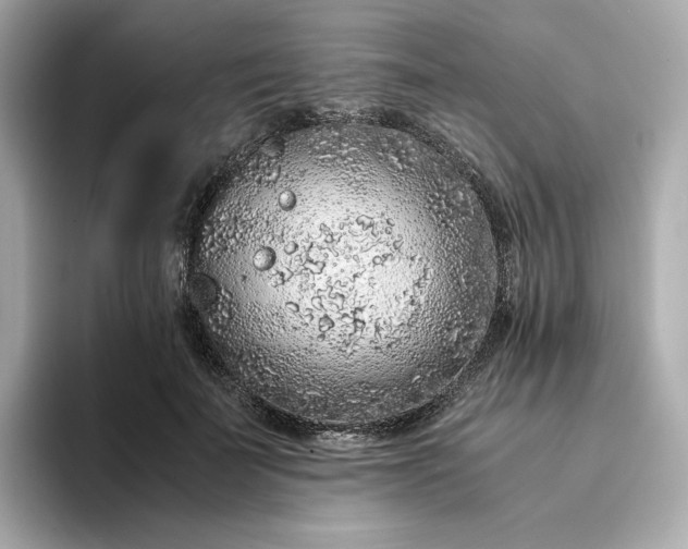 X0000093430699200710261020