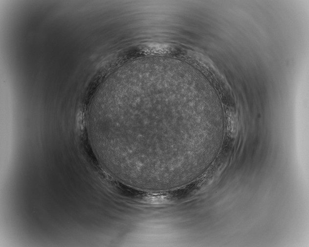 X0000093430701200710261020