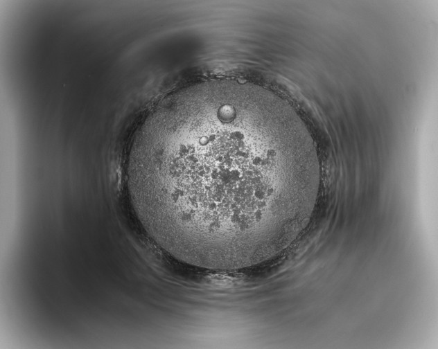 X0000093430703200710261020