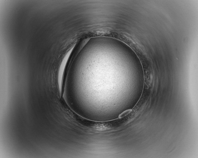 X0000093430704200710261020