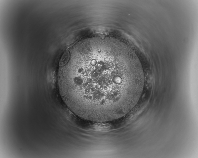 X0000093430707200710261019