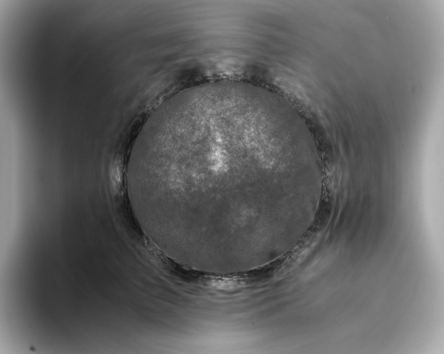 X0000093430709200710261019