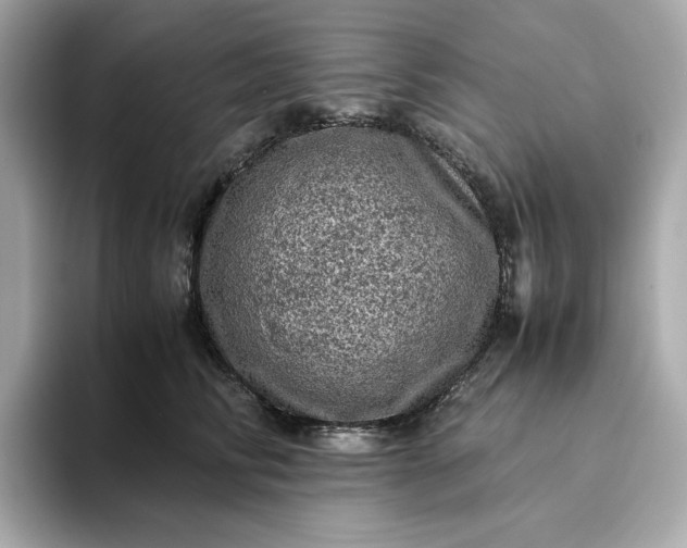 X0000093430710200710261019