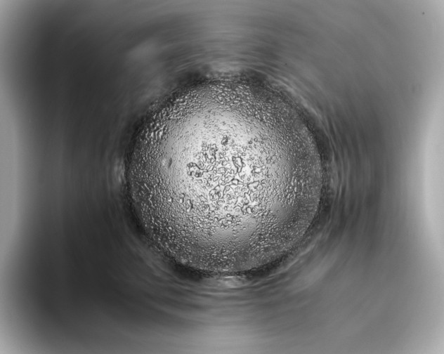 X0000093430711200710261019